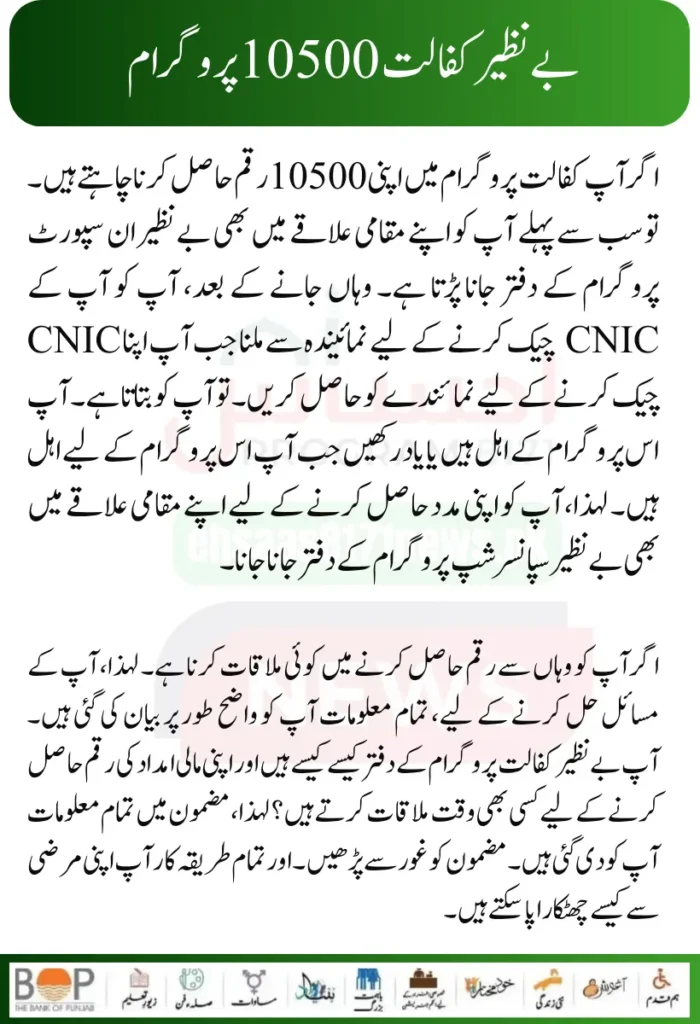 Punjab Government Launches Solar Panels Project for 50000 Eligible Families 10