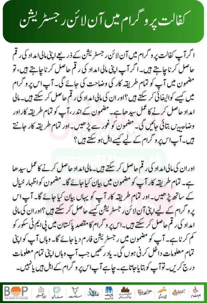 Punjab Government Launches Solar Panels Project for 50000 Eligible Families 17