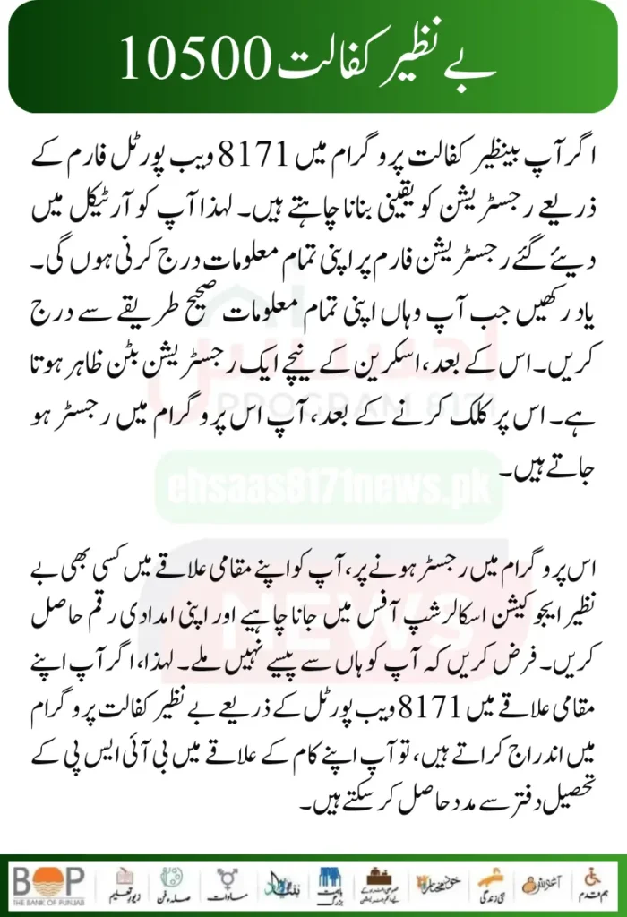 Punjab Government Launches Solar Panels Project for 50000 Eligible Families 24