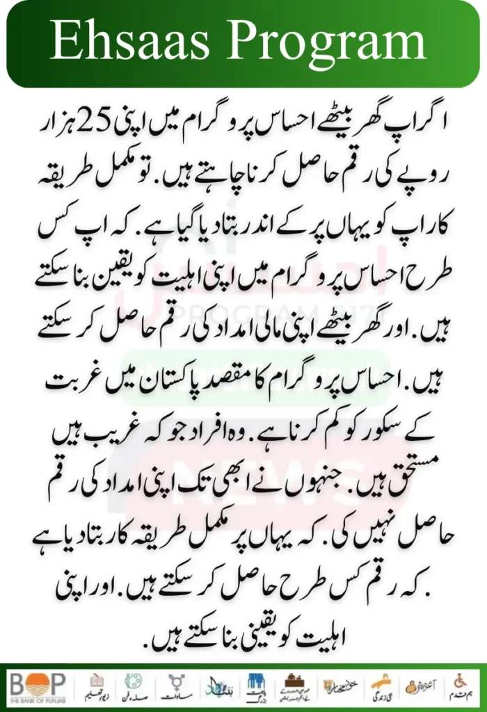 Punjab Government Launches Solar Panels Project for 50000 Eligible Families 31