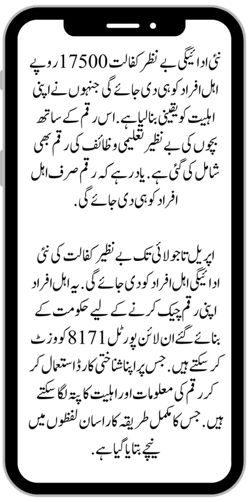 Benazir Kafaalat 17500