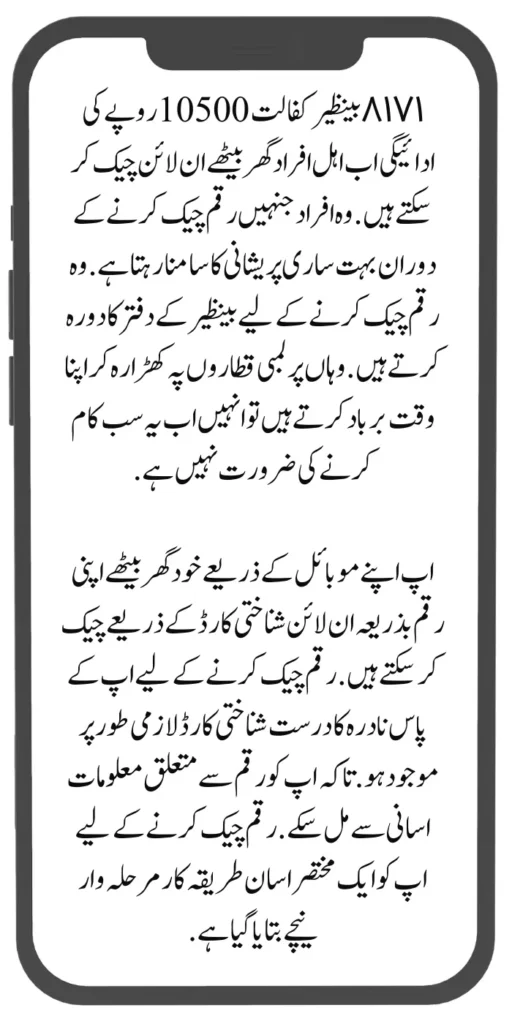 8171 Benazir Kafaalat Balance