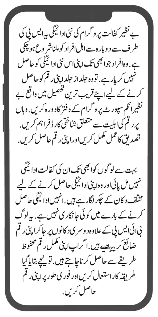 BISP Payment