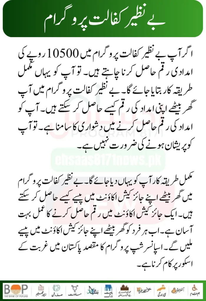 Punjab Government Launches Solar Panels Project for 50000 Eligible Families 14 2