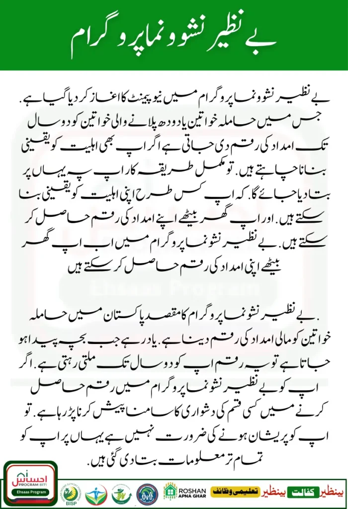 Benazir Nashonuma Program: Latest Update on New Budget Approval for Pregnant Women