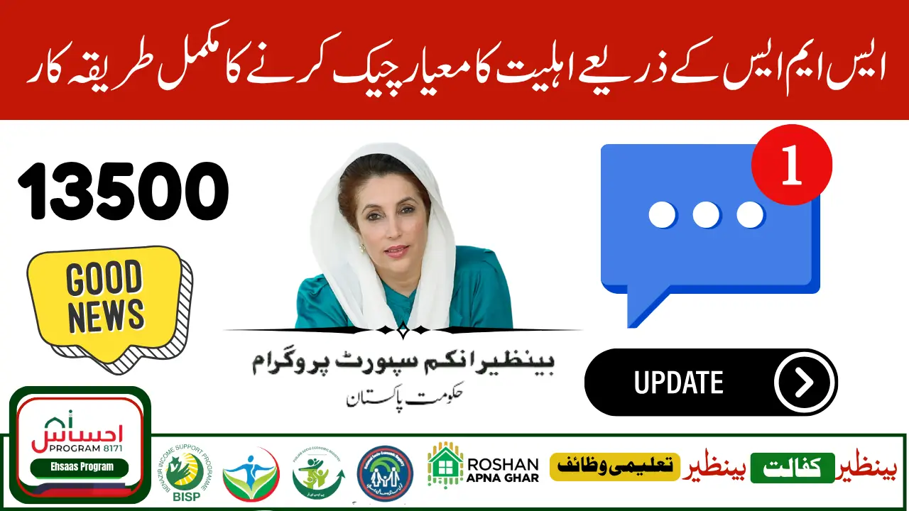 BISP 8171 SMS Payment Status Check