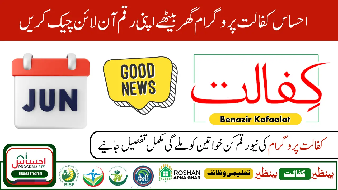 Ehsaas Kafalat Payment Check Through 8171 Portal And SMS