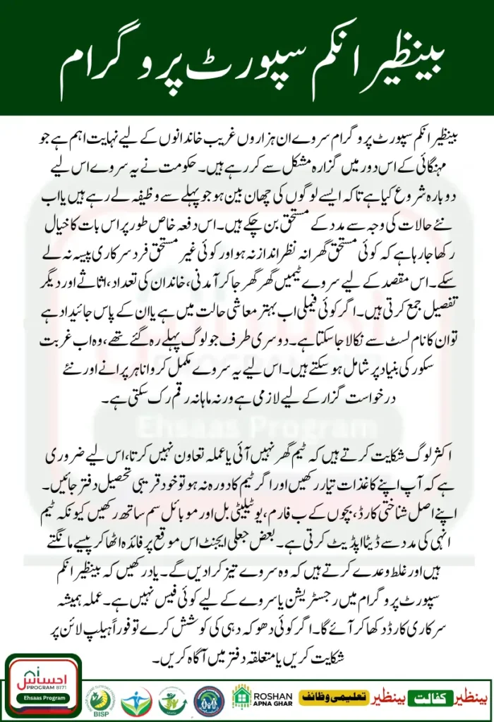 BISP Survey 2025