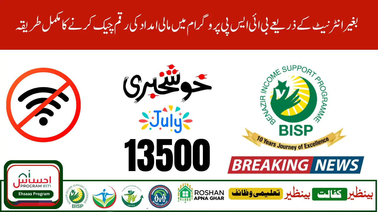 How to Confirm 8171 CNIC in 2025